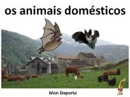 Os animais domésticos